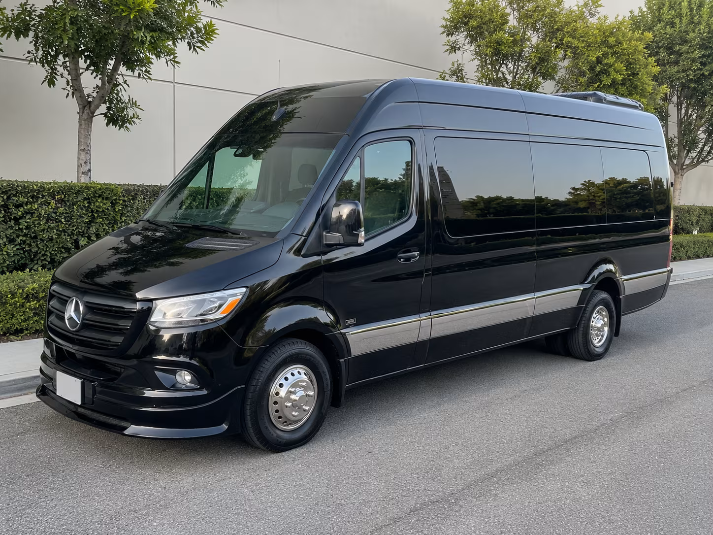 meridian 15 passenger sprinter van